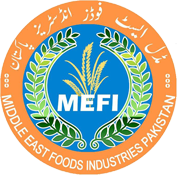 MEFI