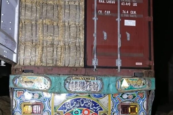 WhatsApp Image 2026-01-17 at 2.48.00 PM (10)