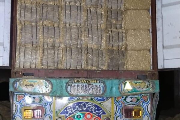 WhatsApp Image 2026-01-17 at 2.48.00 PM (11)