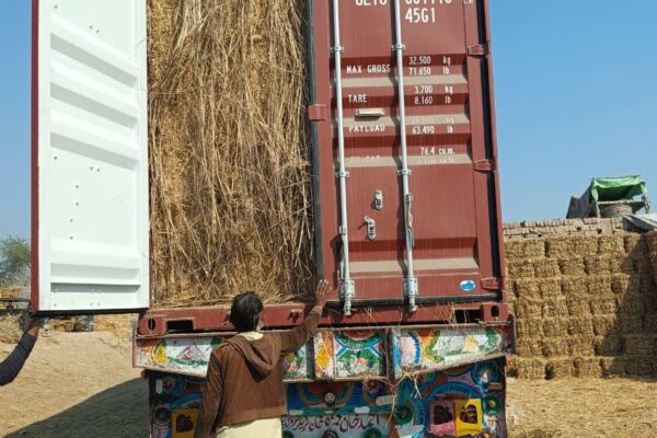 WhatsApp Image 2026-01-17 at 2.48.00 PM (13)