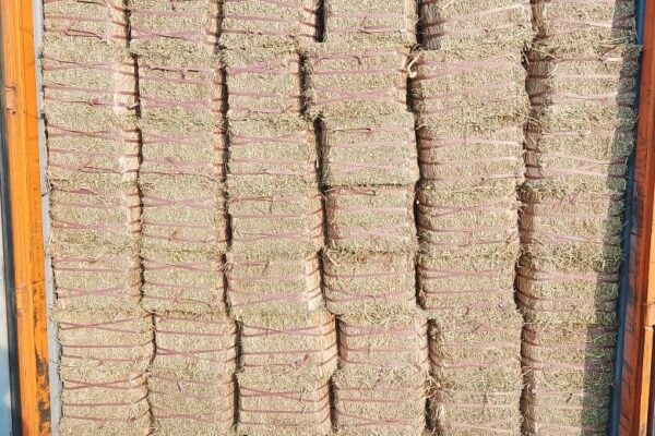 WhatsApp Image 2026-01-17 at 2.48.00 PM (4)