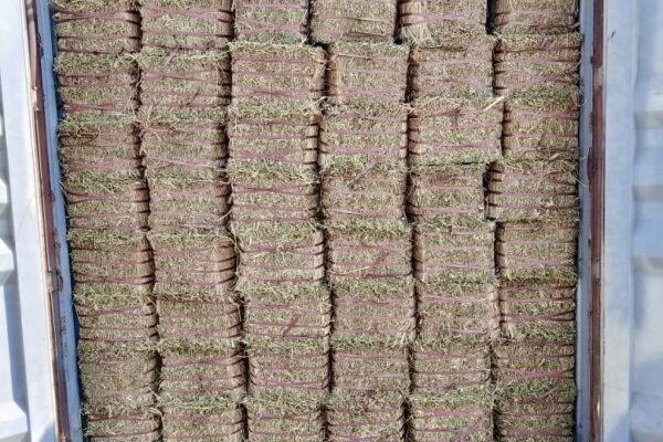 WhatsApp Image 2026-01-17 at 2.48.00 PM (5)