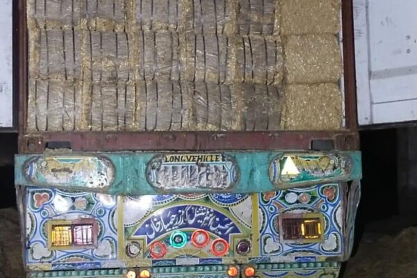 WhatsApp Image 2026-01-17 at 2.48.00 PM (7)