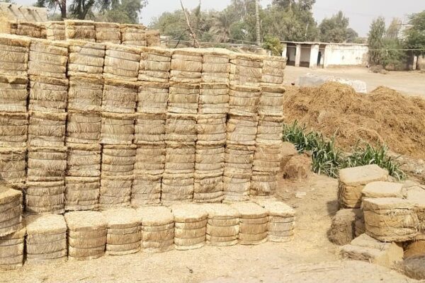 WhatsApp Image 2026-01-17 at 2.48.00 PM (9)