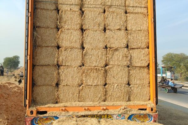 WhatsApp Image 2026-01-17 at 2.48.01 PM